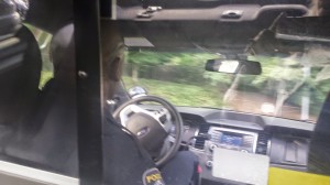 1st Class to the back seat of a cop car Ireland to America